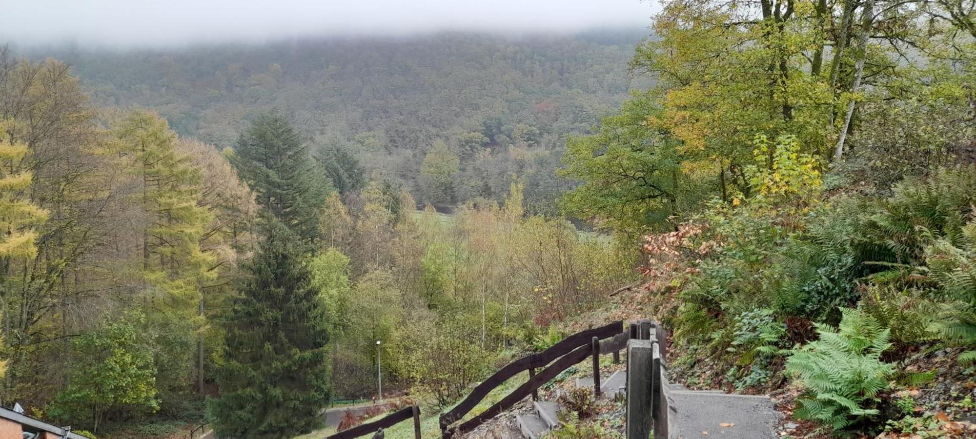 Le Sentier Des Lavandes Vresse-sur-Semois Exterior foto