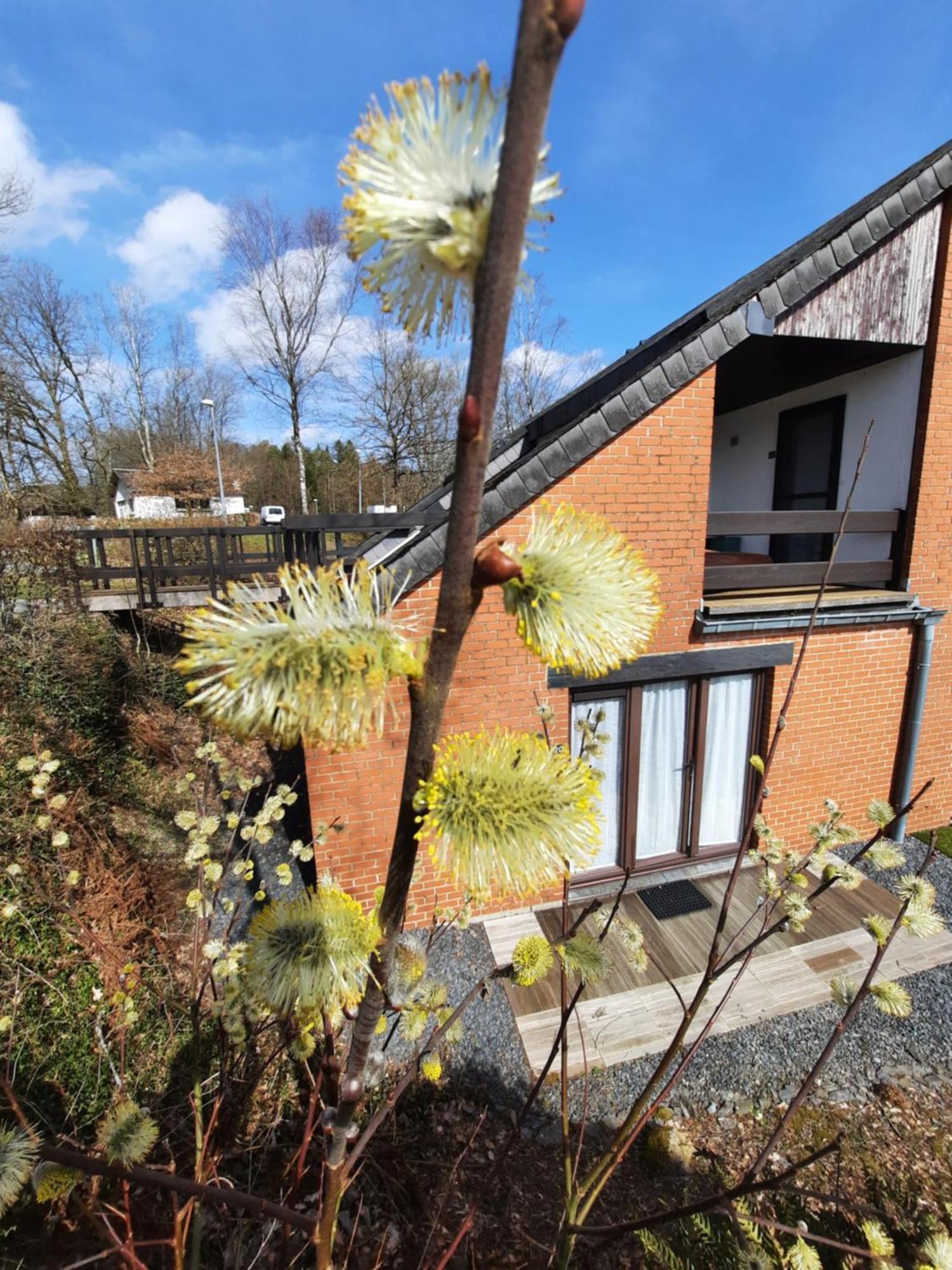 Le Sentier Des Lavandes Vresse-sur-Semois Exterior foto